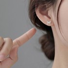 925 Sterling Silver Crystal Colourful Butterfly Stud Earrings Womens Jewellery