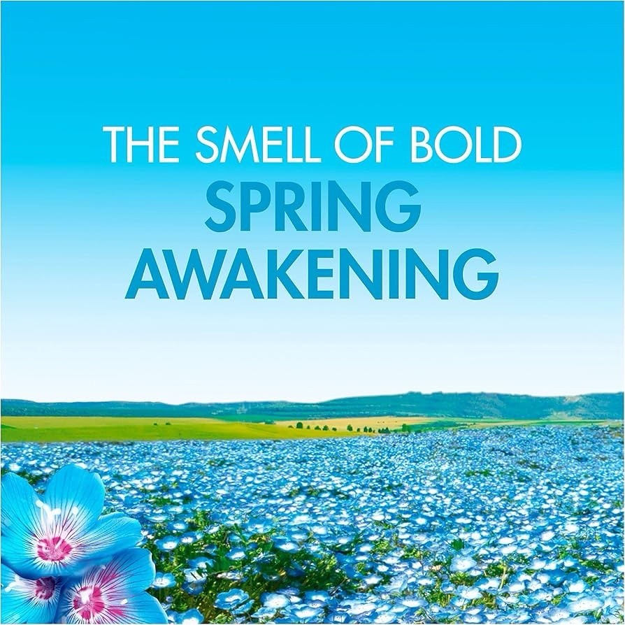 Bold 2in1 Washing Powder Spring Awakening 44 Washes Laundry Powder