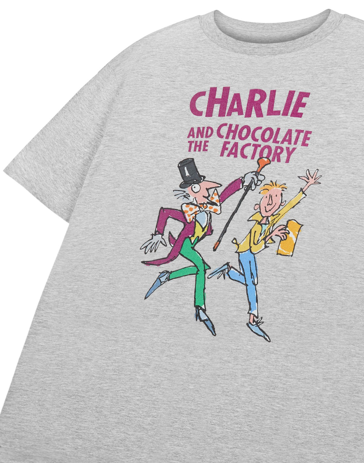 Roald Dahl Short Sleeved T-Shirt | Unisex Kids Grey Marl | Official Merch