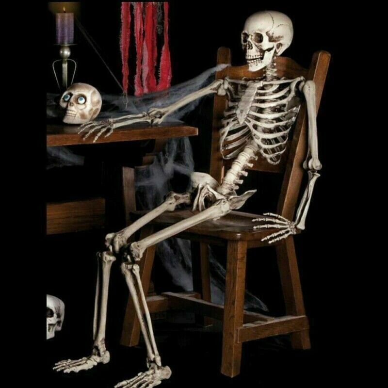 170cm Halloween Poseable Skeleton Full Life Size Human Skeleton Decoration Props