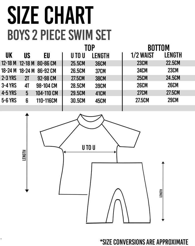 Paw Patrol 2 Piece Swim Set | Boys Grey | Official Merch