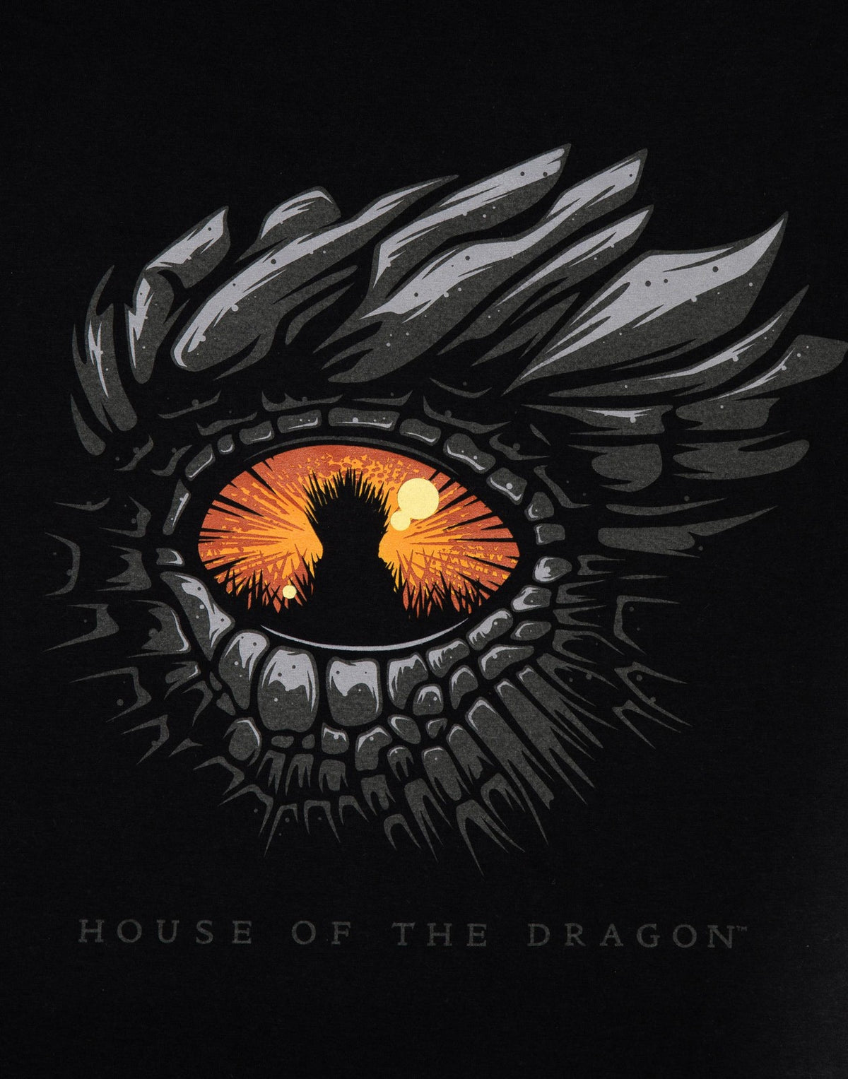 Game of Thrones Short Sleeved T-Shirt | Mens Black | Official Merch