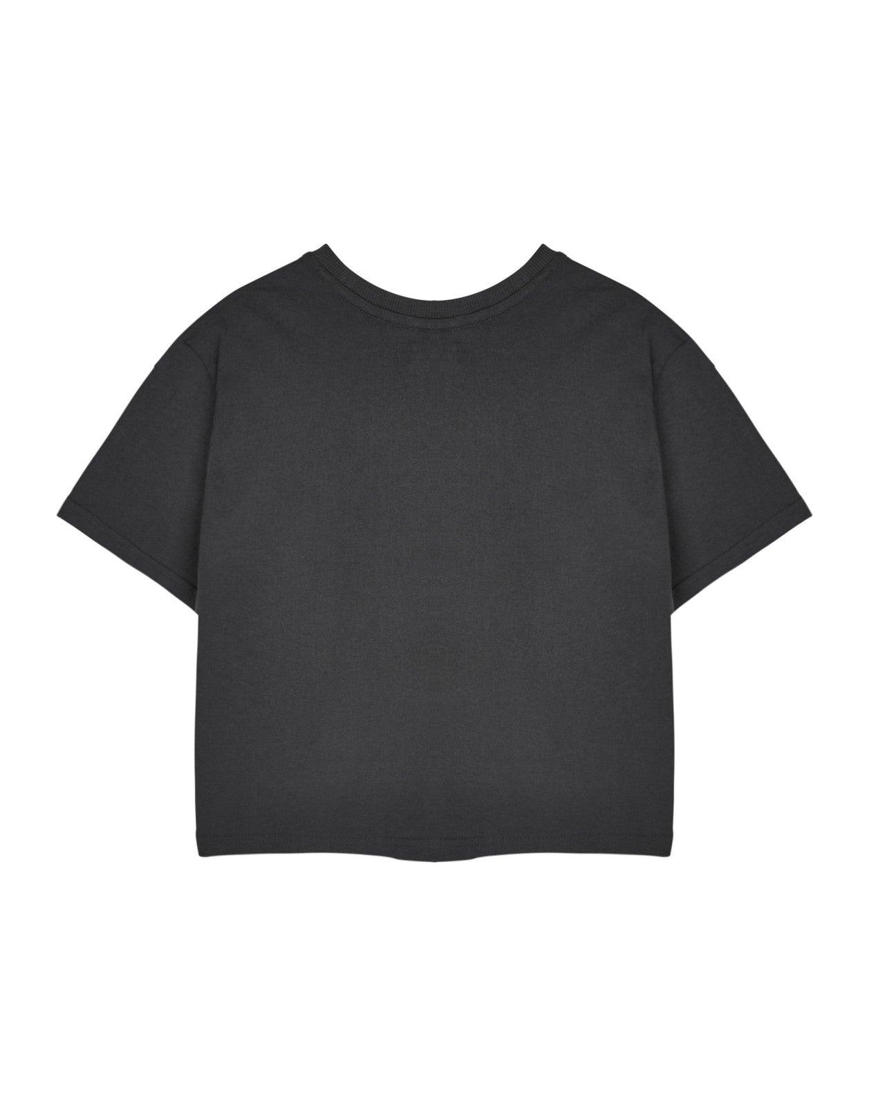 Disney Cropped Short Sleeved T-Shirt | Womens Charcoal | Official Merch