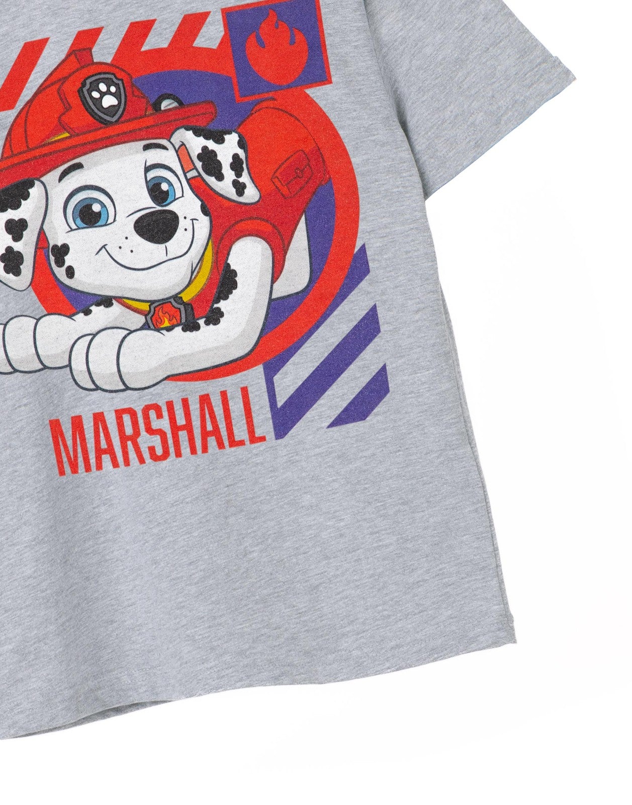 Paw Patrol Short Sleeved T-Shirt | Boys Grey Marl | Official Merch