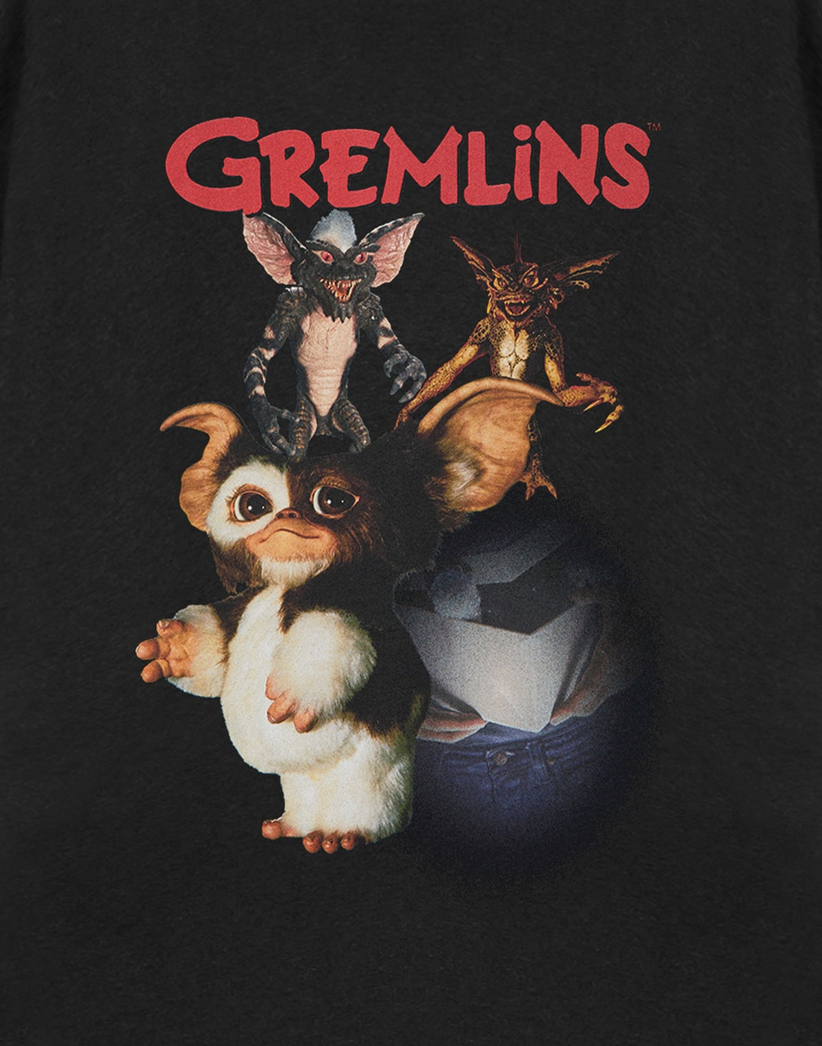 Gremlins Short Sleeved T-Shirt | Unisex Black | Official Merch