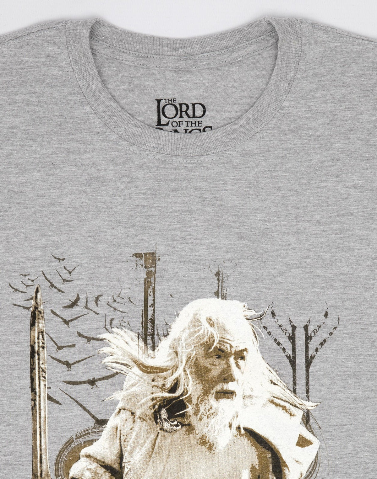 Lord Of The Rings Short Sleeved T-Shirt | Mens Grey | Official Merch