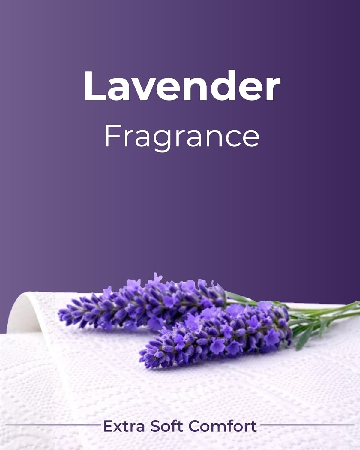 Phoenix Toilet Rolls – 60 Pack | 3 Ply Lavender Scented Toilet Paper | Bulk Buy,