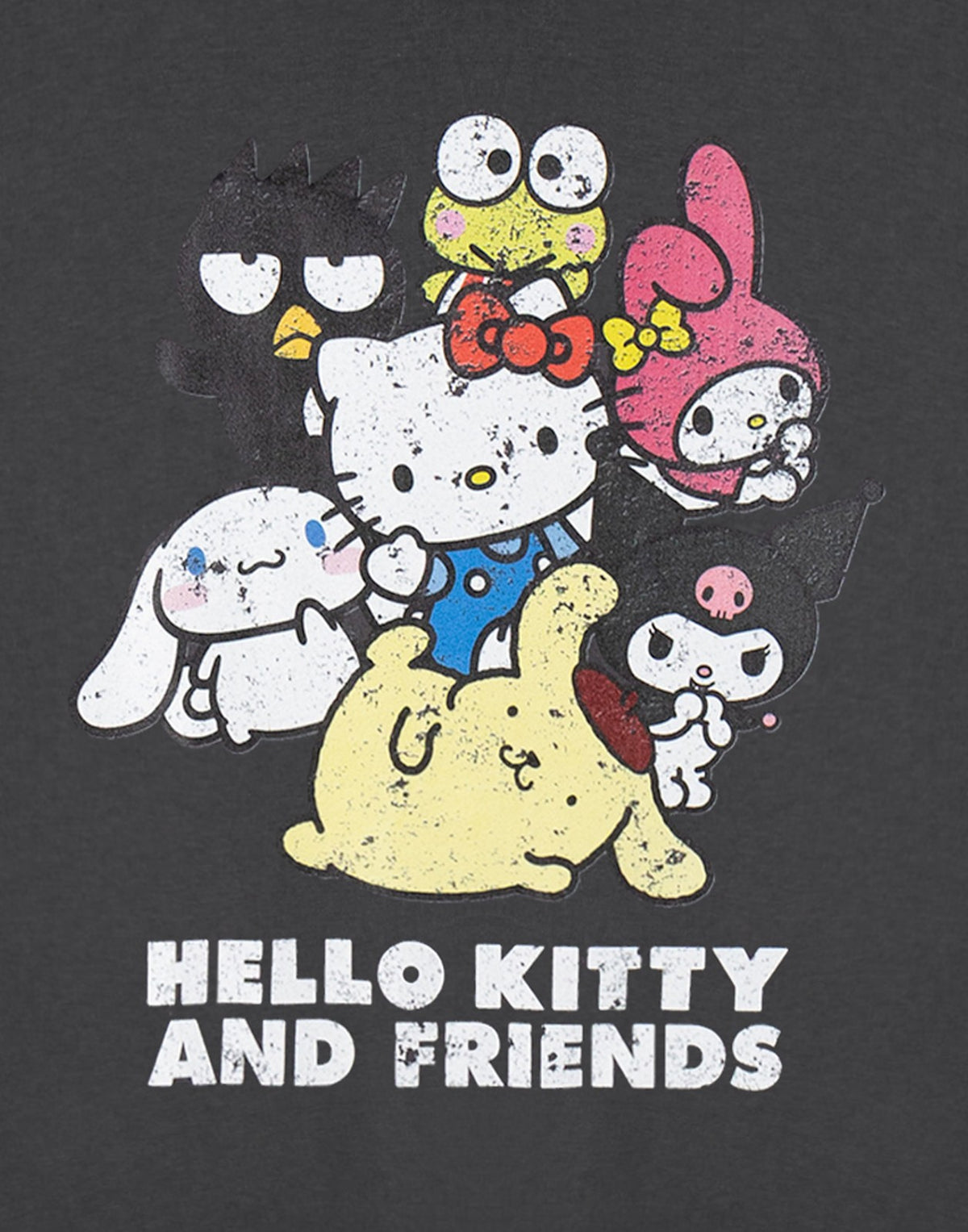 Hello Kitty Cropped Short Sleeved T-Shirt | Womens Charcoal | Official Merch