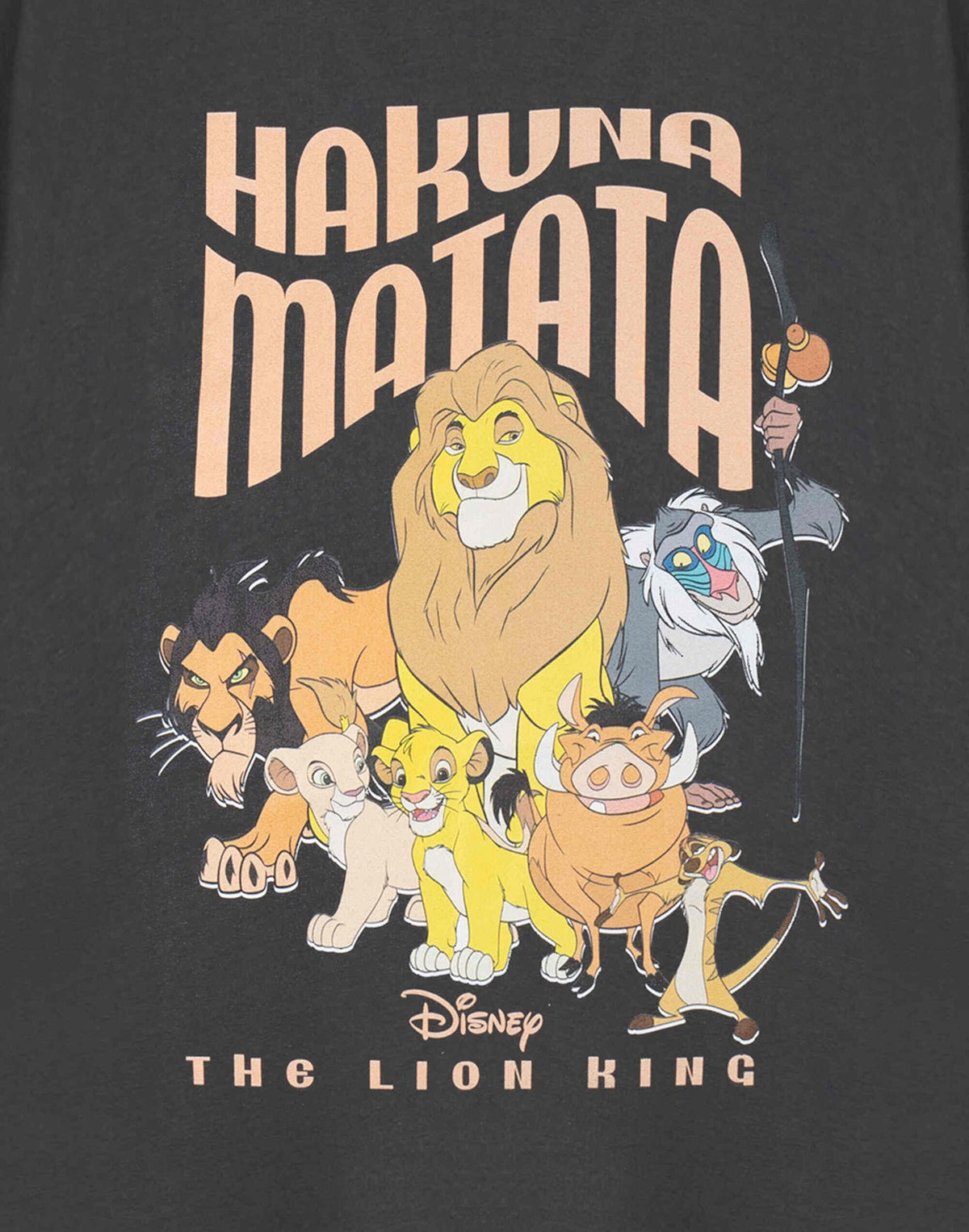 Disney Short Sleeved T-Shirt | Womens Charcoal | Official Merch