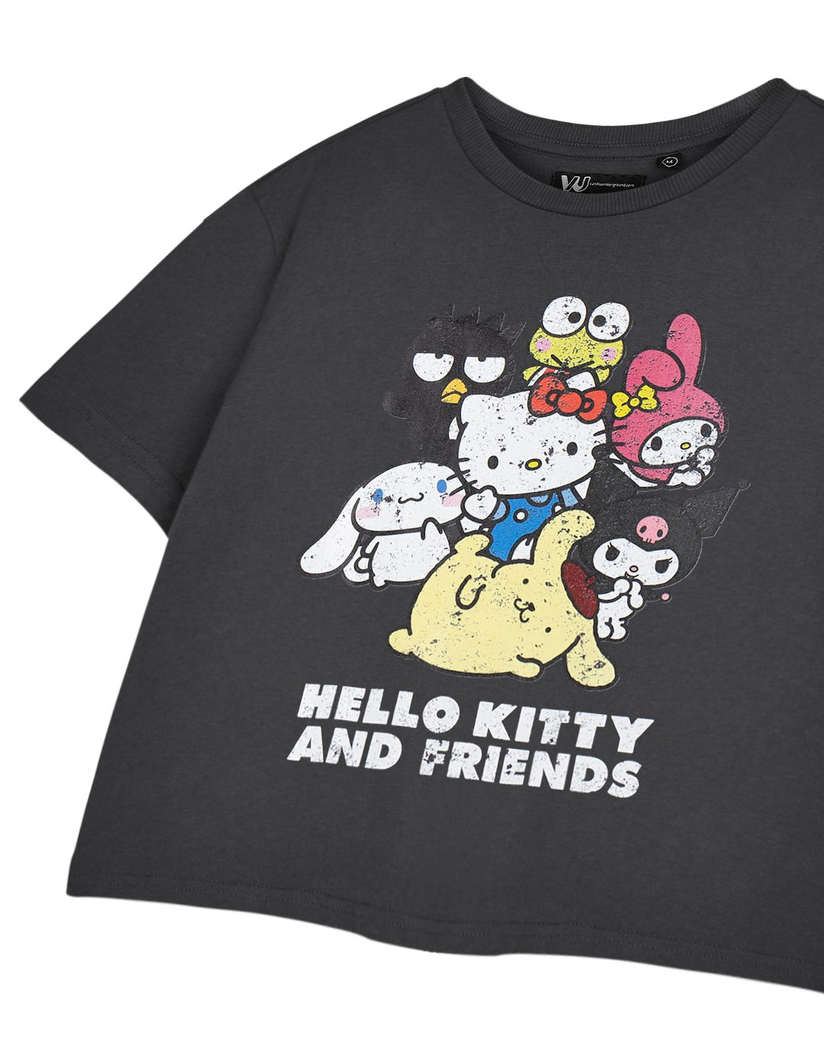 Hello Kitty Cropped Short Sleeved T-Shirt | Womens Charcoal | Official Merch