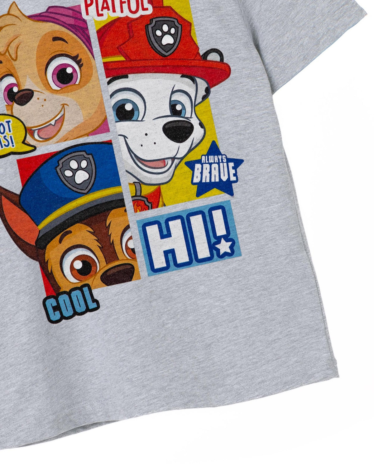 Paw Patrol Short Sleeved T-Shirt | Boys Grey Marl | Official Merch