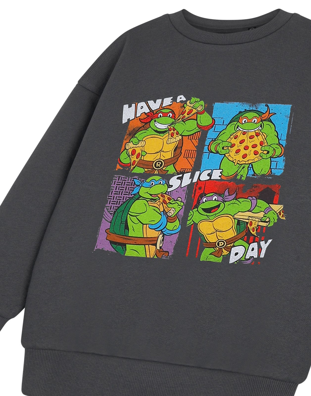 Teenage Mutant Ninja Turtles Sweatshirt | Boys Charcoal | Official Merch