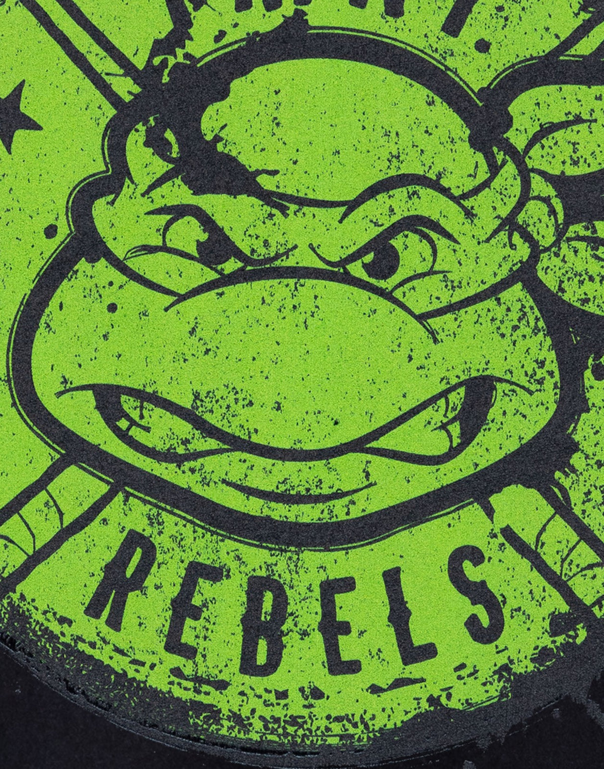 Teenage Mutant Ninja Turtles Short Sleeved T-Shirt | Boys Black | Official Merch