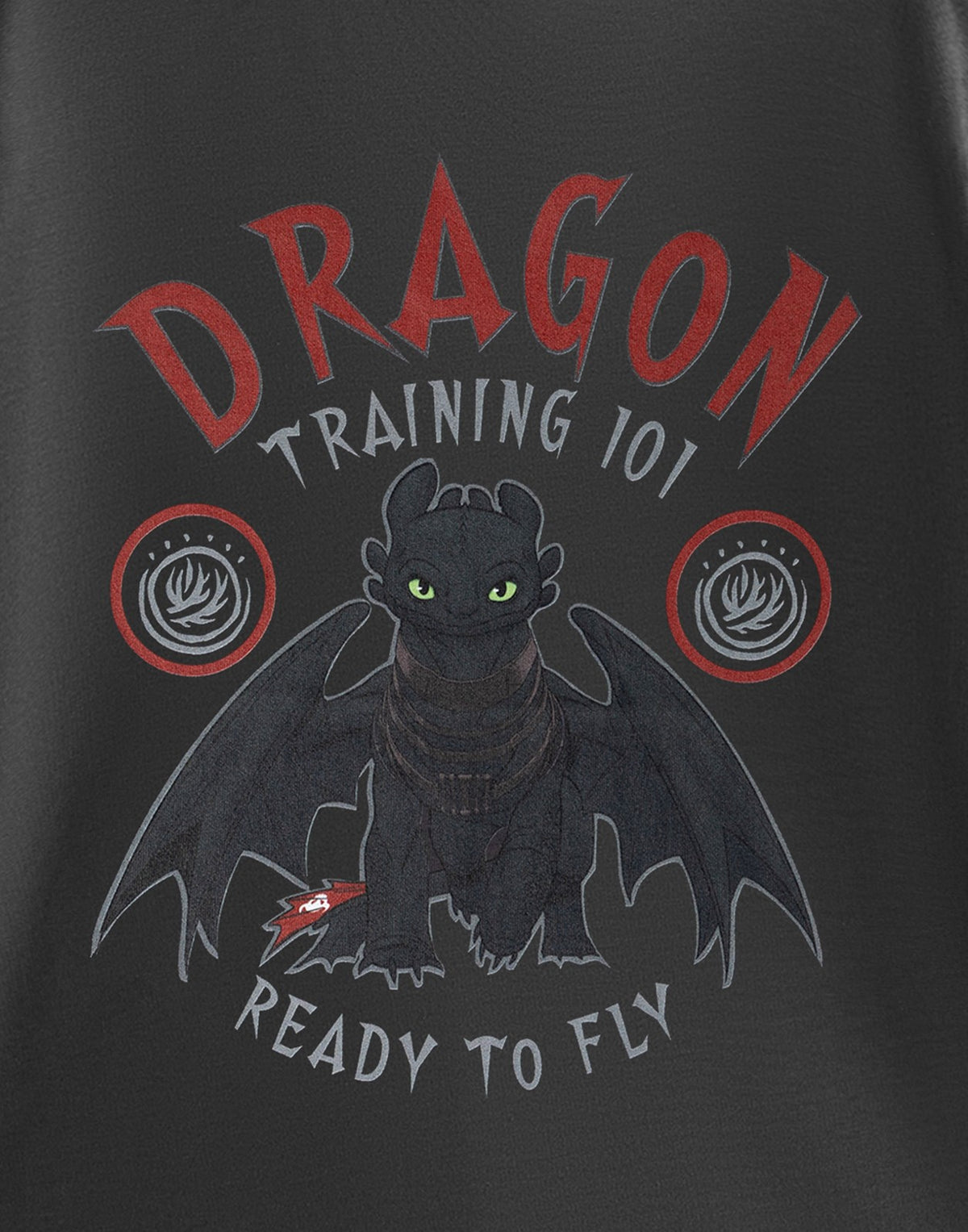 How to Train Your Dragon Short Sleeved T-Shirt | Boys Charcoal | Official Merch
