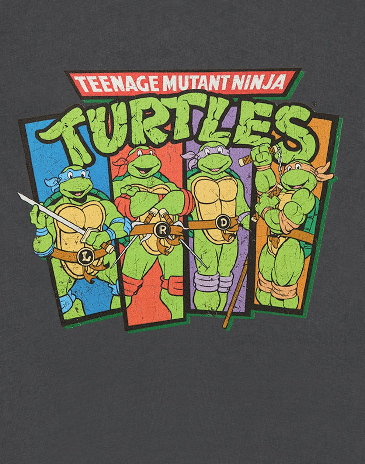 Teenage Mutant Ninja Turtles Sweatshirt | Mens Charcoal | Official Merch