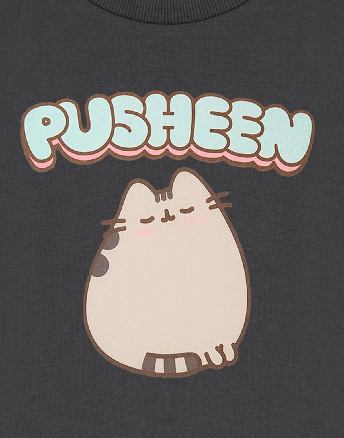 Pusheen Short Sleeved T-Shirt | Girls Charcoal | Official Merch