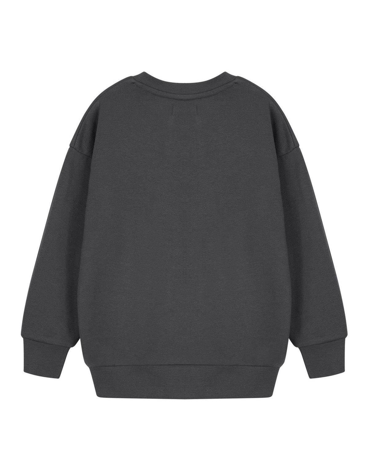 Teenage Mutant Ninja Turtles Sweatshirt | Boys Charcoal | Official Merch