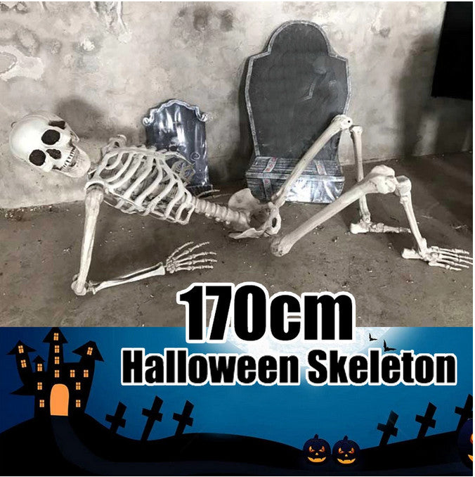 170cm Halloween Poseable Skeleton Full Life Size Human Skeleton Decoration Props