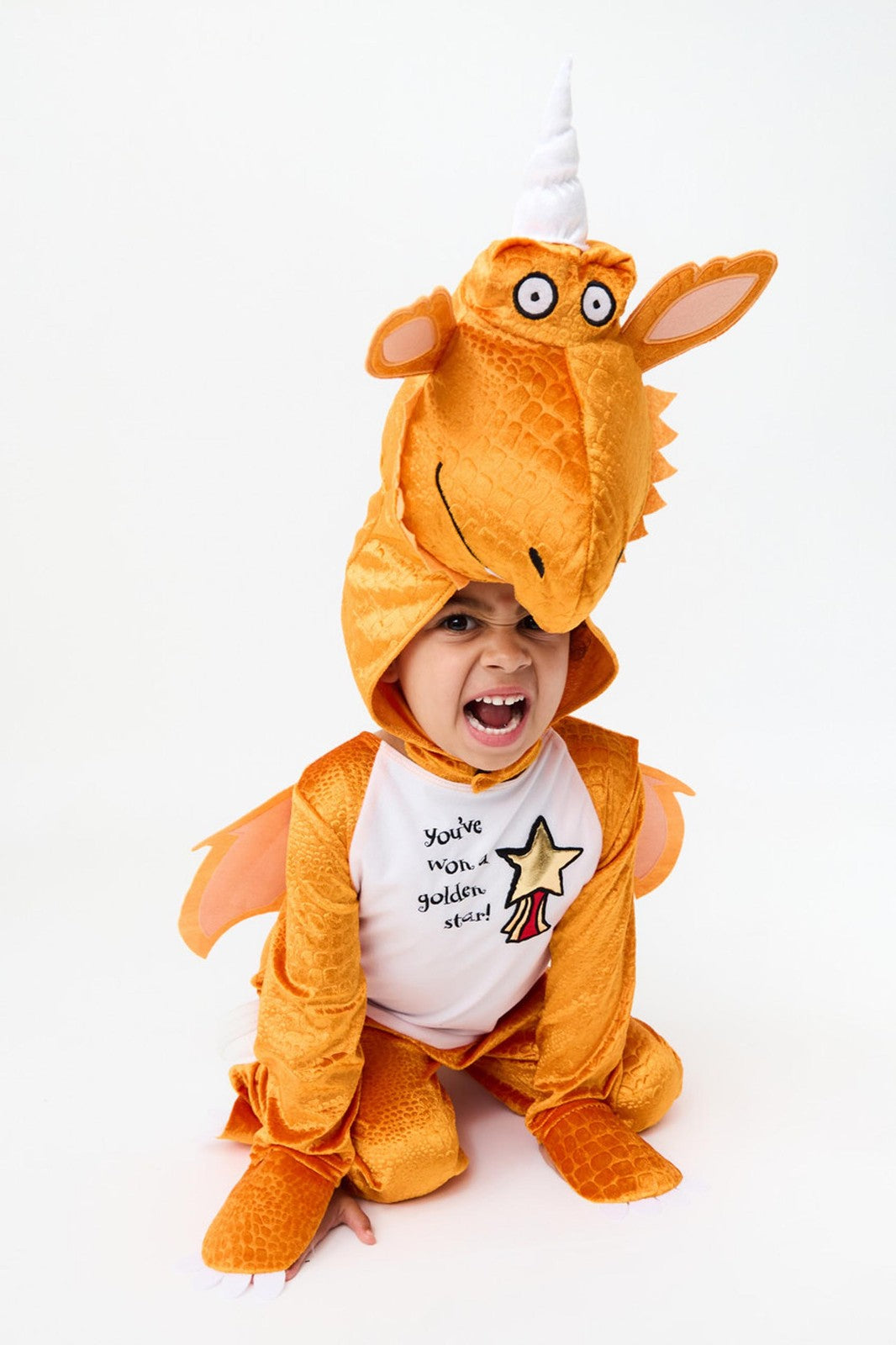 Gruffalo & Friends 2 Piece Costume | Unisex Kids Orange | Official Merch