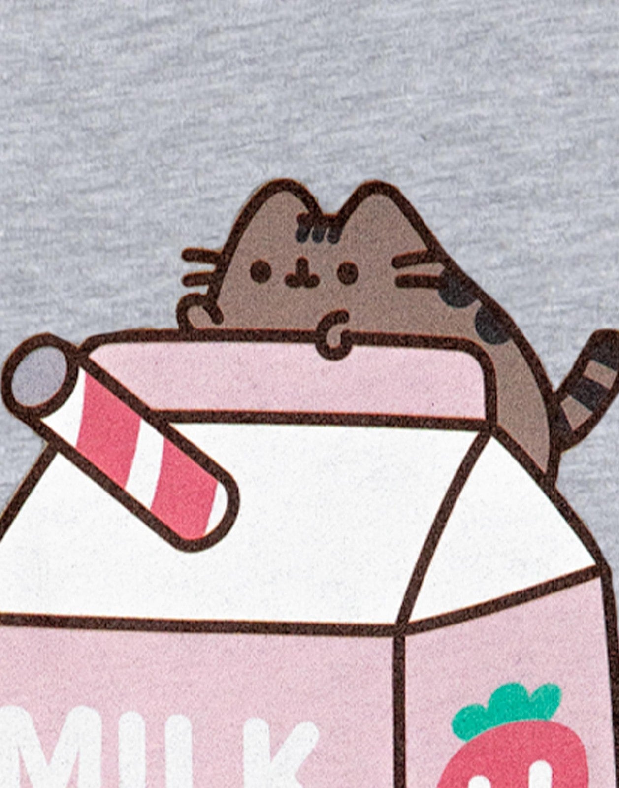 Pusheen Short Sleeved T-Shirt | Girls Grey Marl | Official Merch