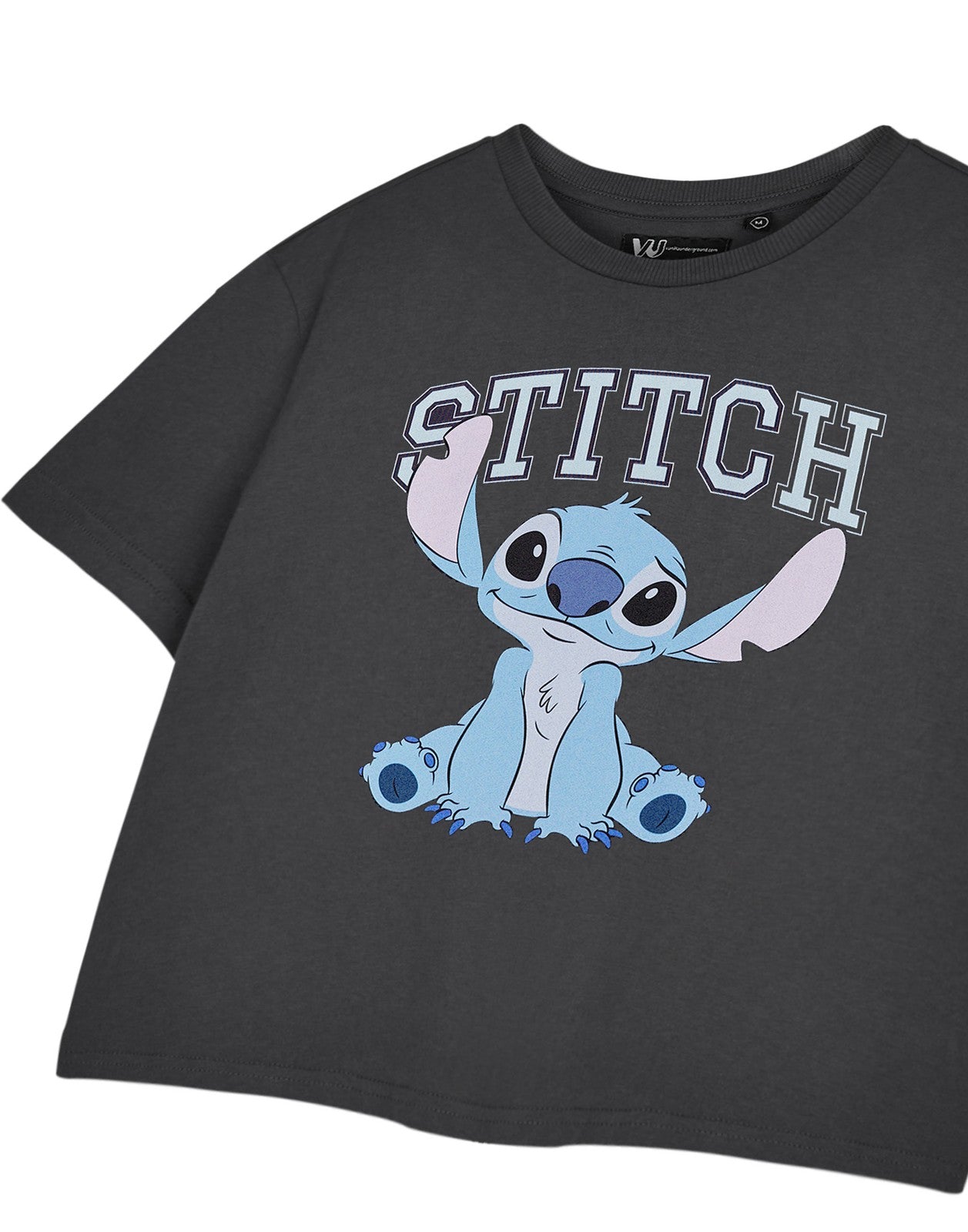 Disney Cropped Short Sleeved T-Shirt | Womens Charcoal | Official Merch