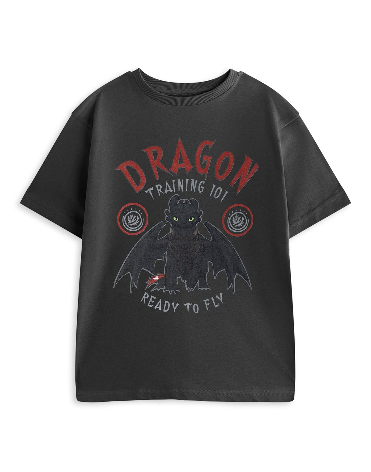 How to Train Your Dragon Short Sleeved T-Shirt | Boys Charcoal | Official Merch