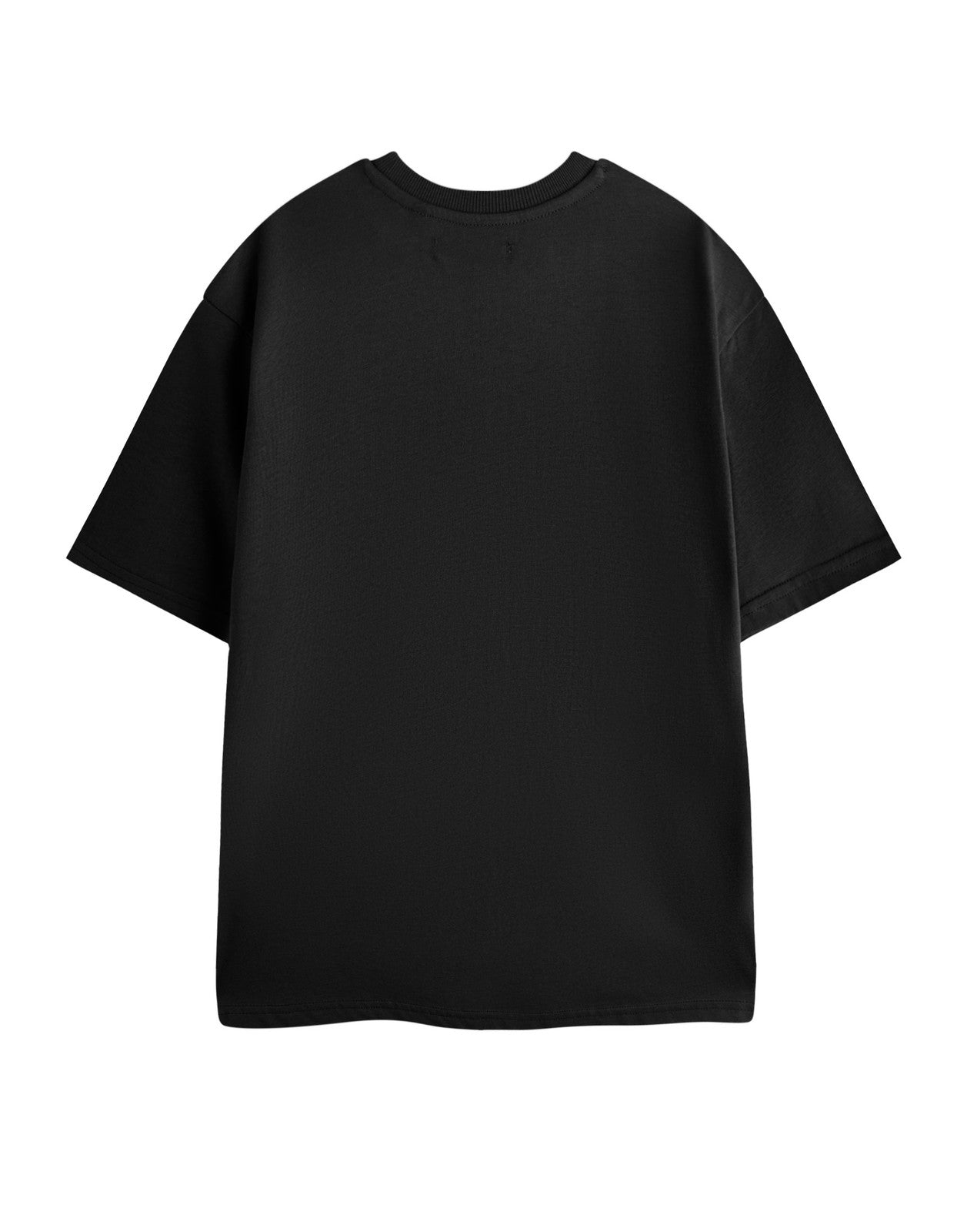 How to Train Your Dragon Short Sleeved T-Shirt | Mens Black | Official Merch