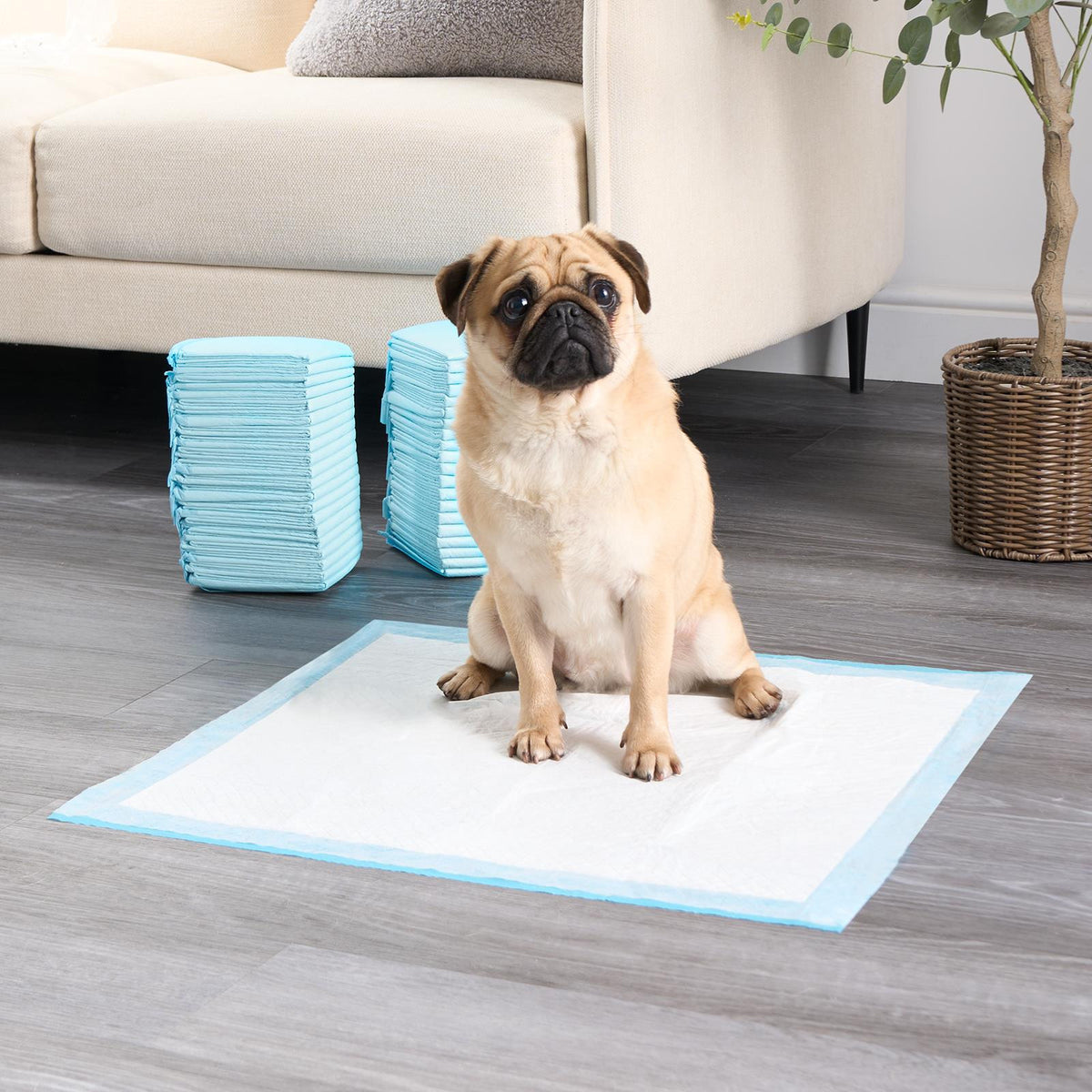 100 Training Pads Absorbent Large Pet Puppy Wee Pee Dog Kitten Poo Floor Mats