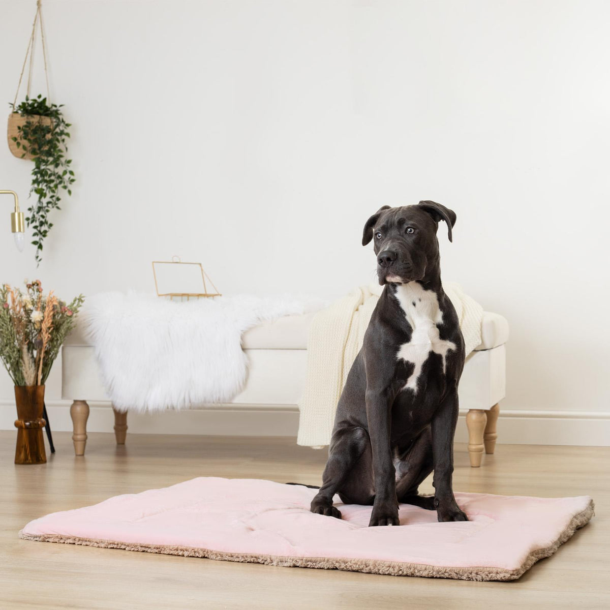 Brentfords Sherpa Pet Animal Blanket Puppy Dog Cat Kitten Kennel Mat Warm Throw