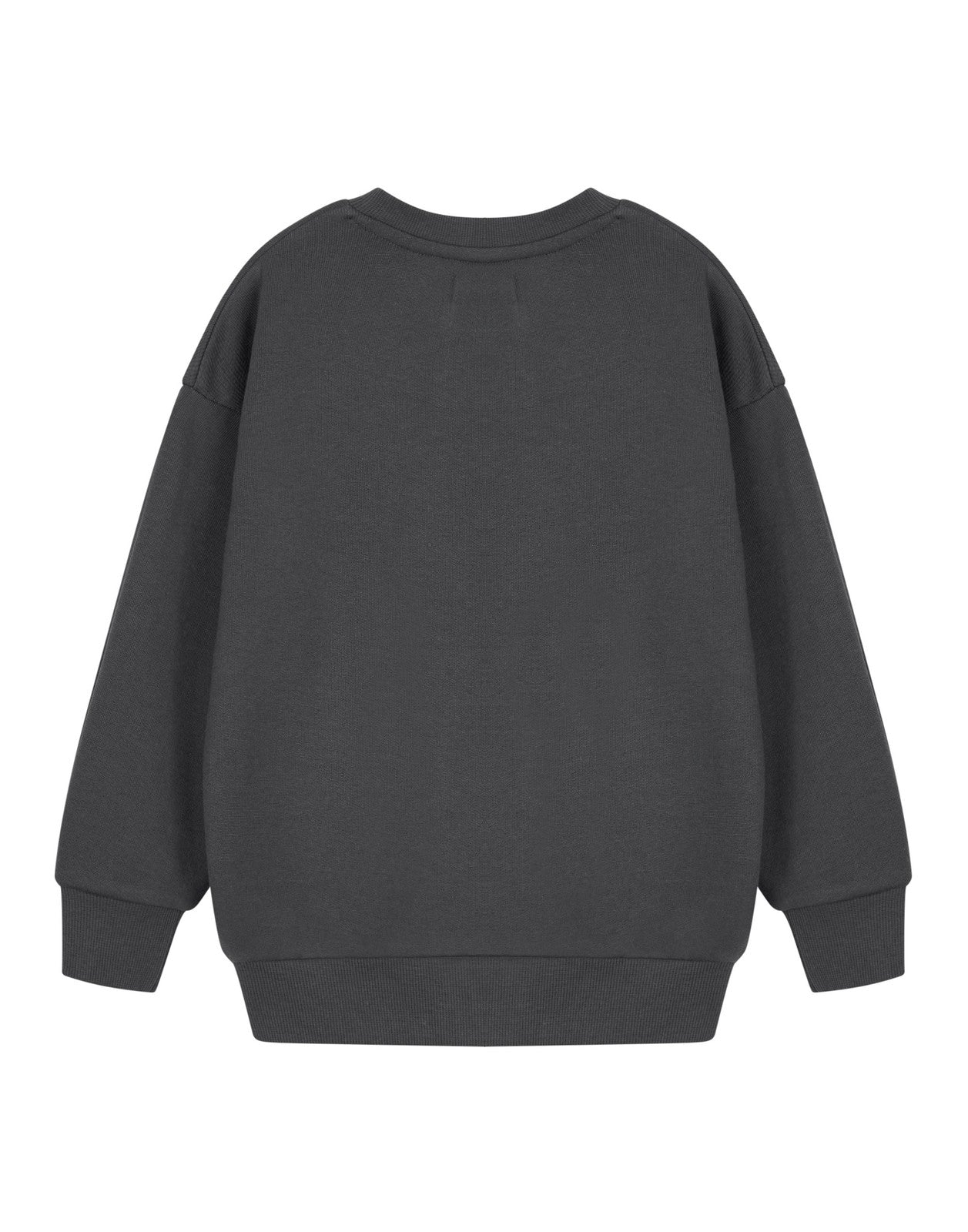Teenage Mutant Ninja Turtles Sweatshirt | Boys Charcoal | Official Merch