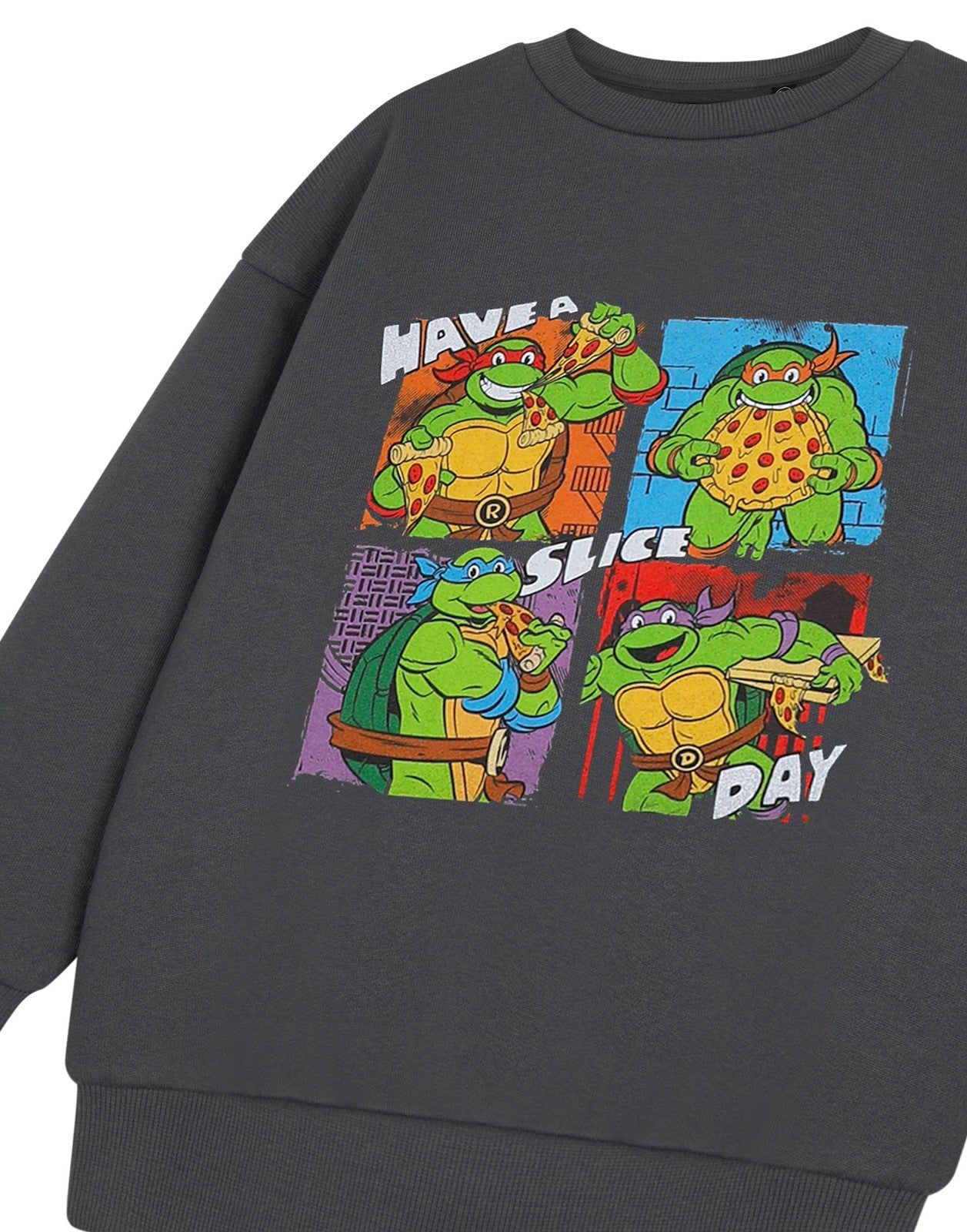 Teenage Mutant Ninja Turtles Sweatshirt | Boys Charcoal | Official Merch