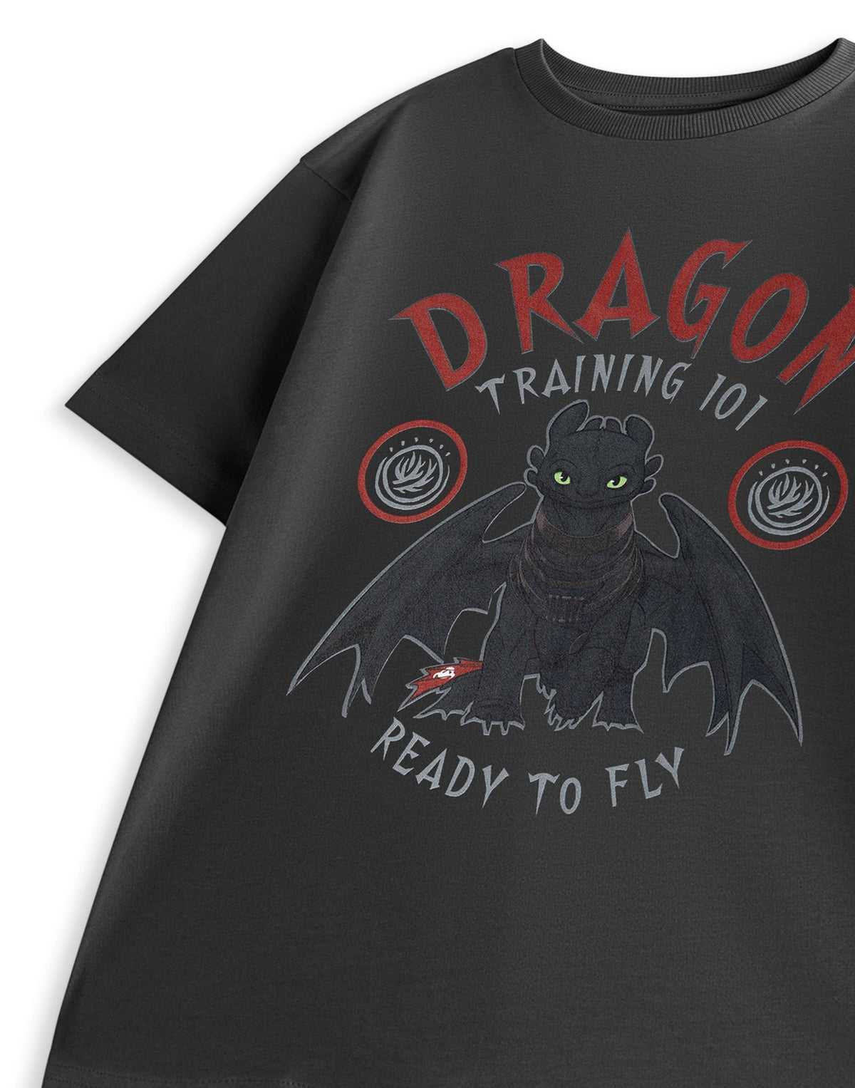 How to Train Your Dragon Short Sleeved T-Shirt | Boys Charcoal | Official Merch