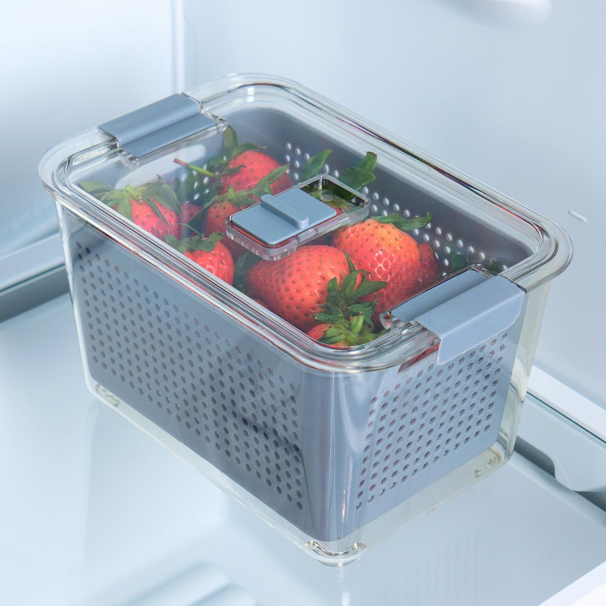 OHS Fridge Container with Lid BPA Free Plastic Food Storage Removable Basket
