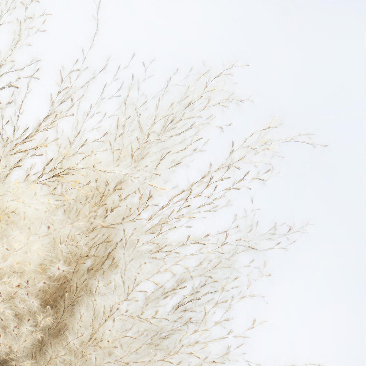 Pampas Grass Faux Fluffy in Vase Artificial Natural Style Plant Decorative Home