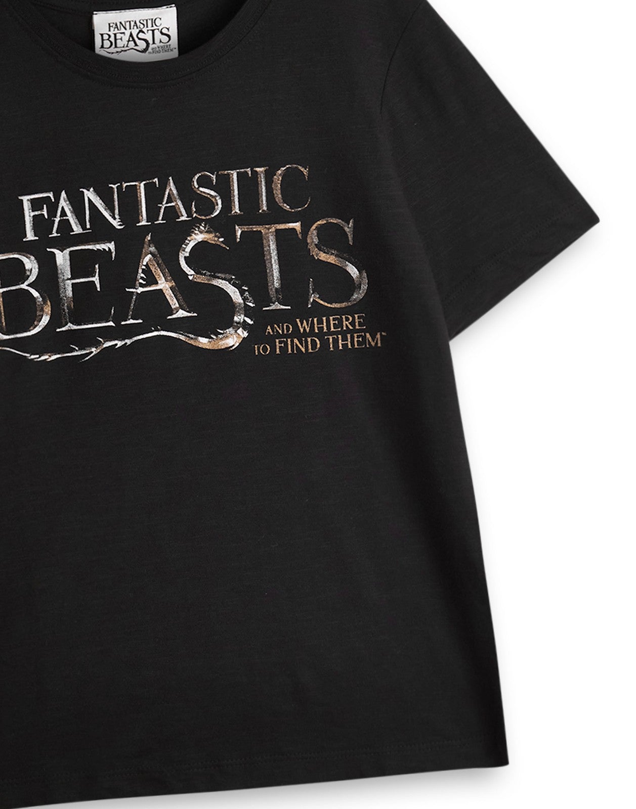 Fantastic Beasts And Where To Find Them Short Sleeved T-Shirt | Boys Black | Off