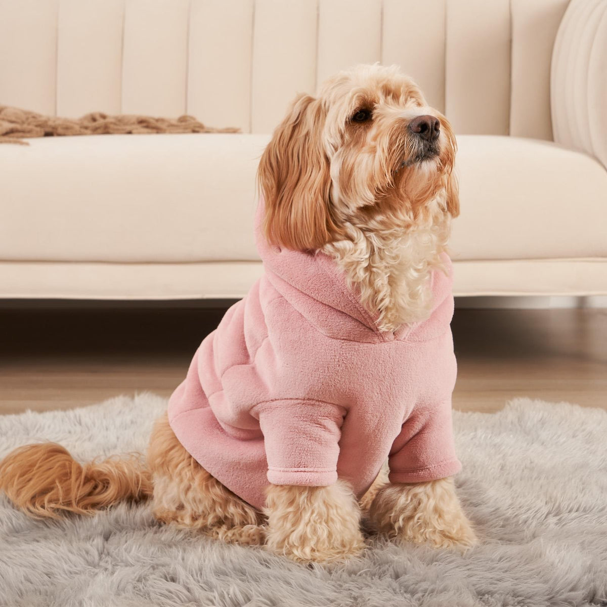 OHS Pet Dog Sherpa Hoodie Winter Warm Fleece Puppy Outfit Suit Soft Cat Jumper