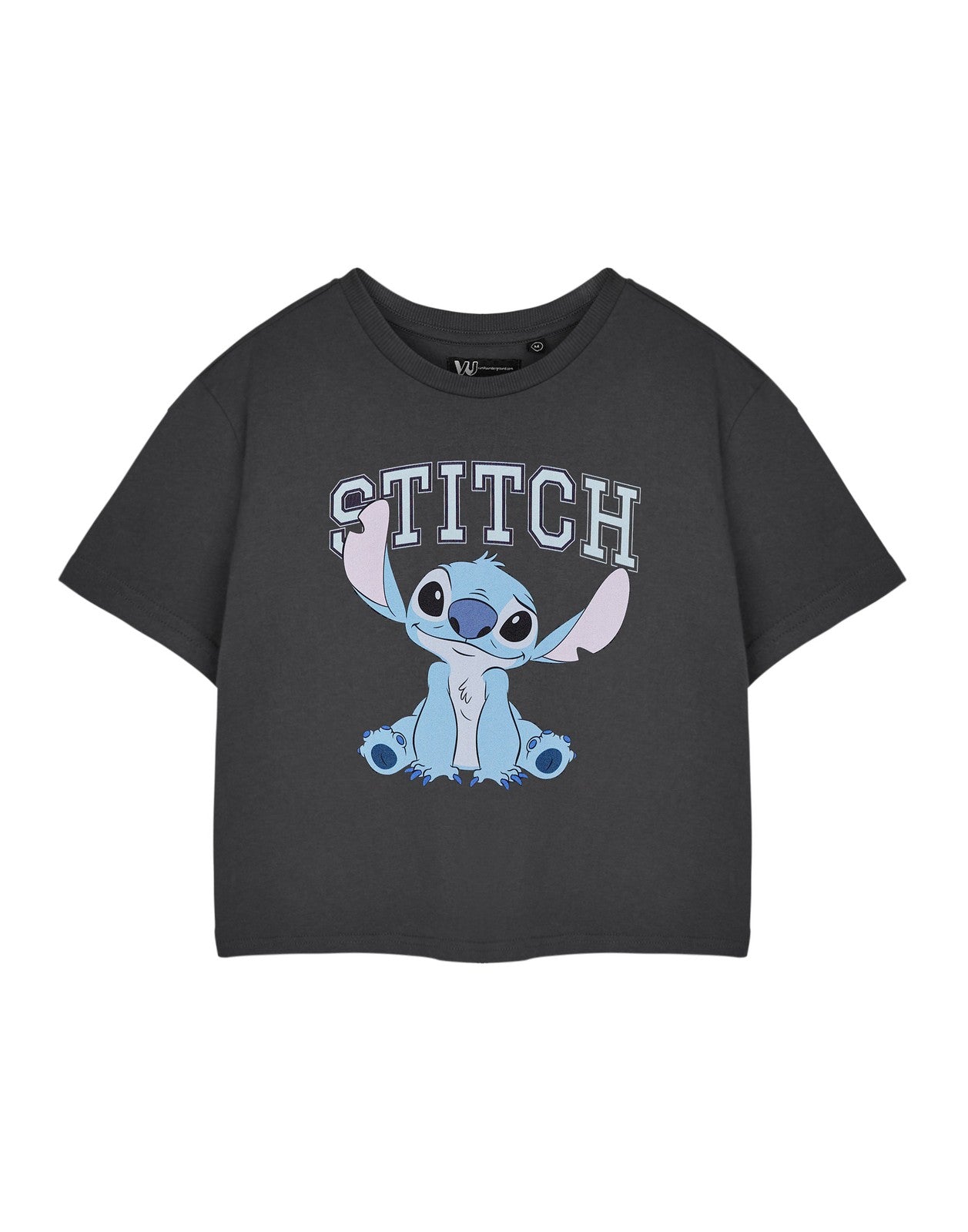 Disney Cropped Short Sleeved T-Shirt | Womens Charcoal | Official Merch