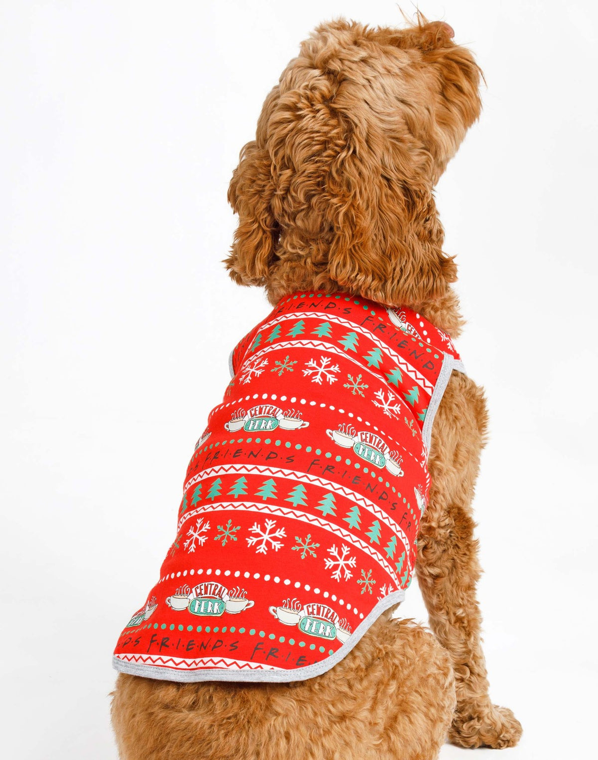 Friends Christmas Jumper | Unisex Red | Official Merch