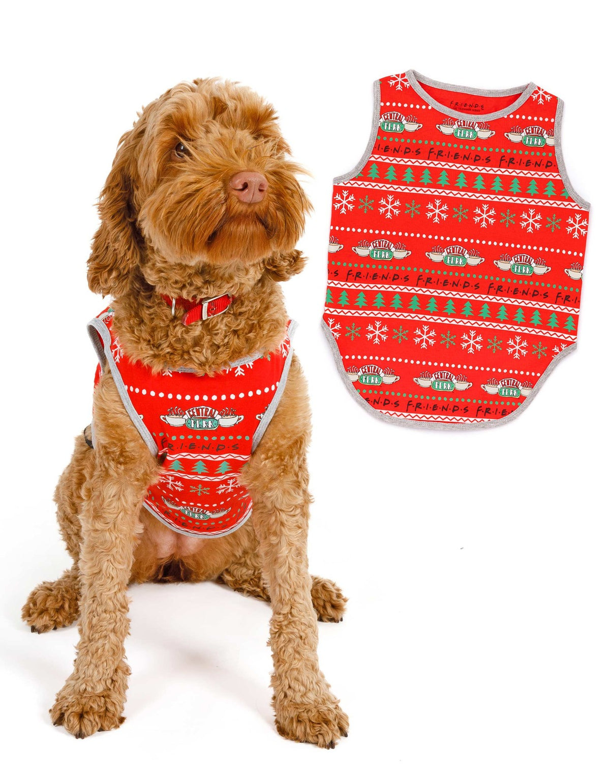 Friends Christmas Jumper | Unisex Red | Official Merch