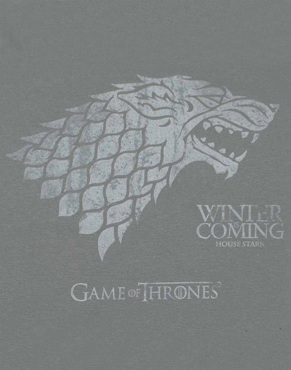 Game of Thrones Short Sleeved T-Shirt | Womens Charcoal | Official Merch