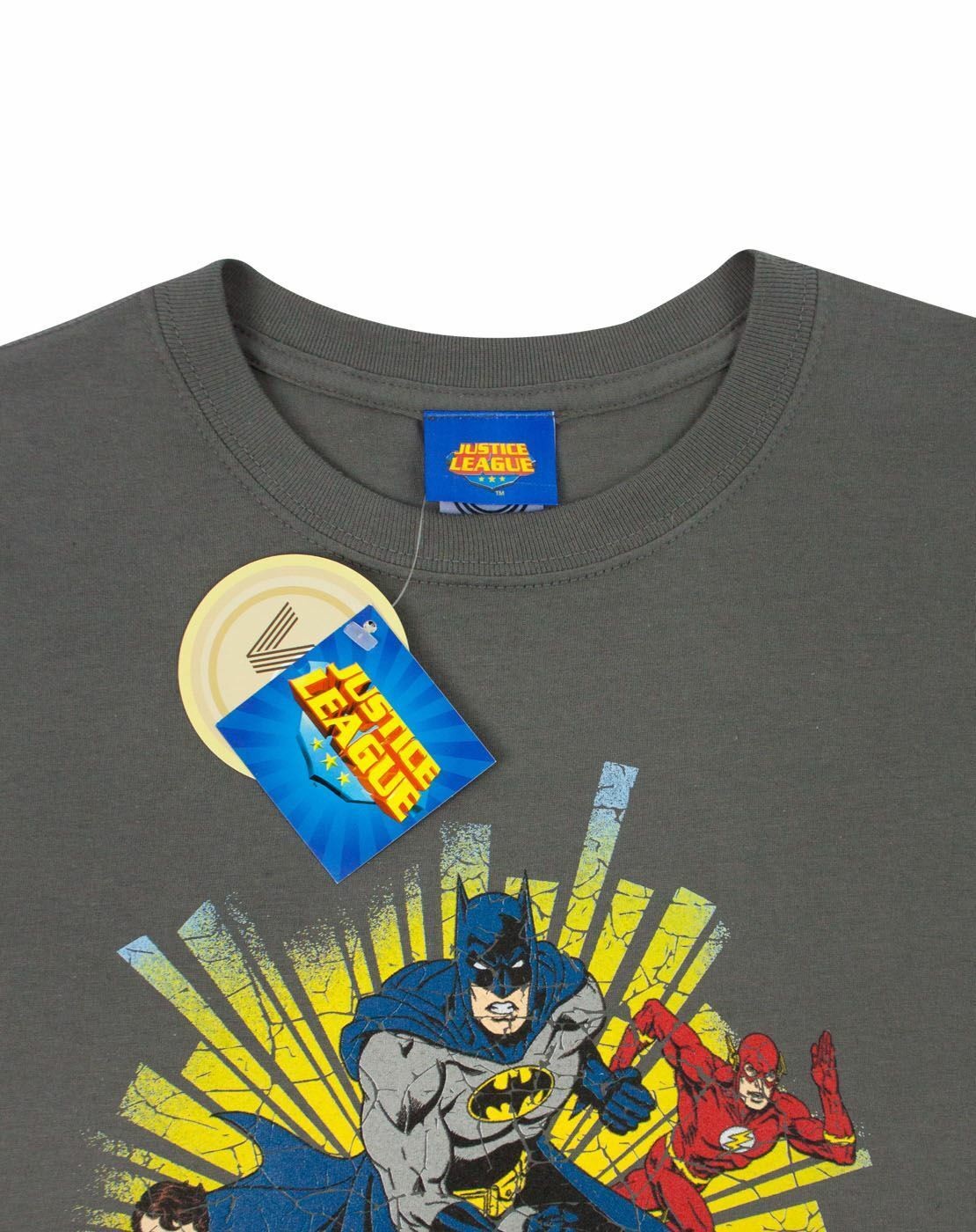DC Comics Short Sleeved T-Shirt | Mens Grey | Official Merch