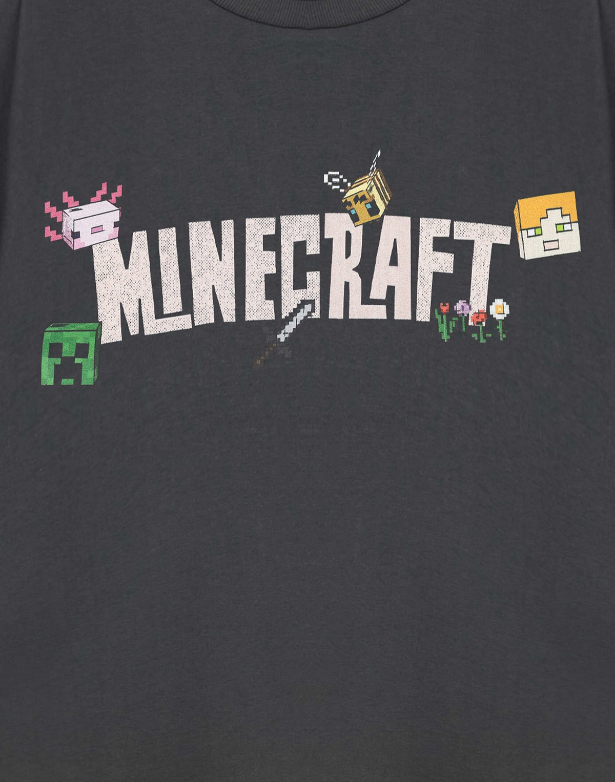 Minecraft Short Sleeved T-Shirt | Womens Charcoal Gaming | Official Merch