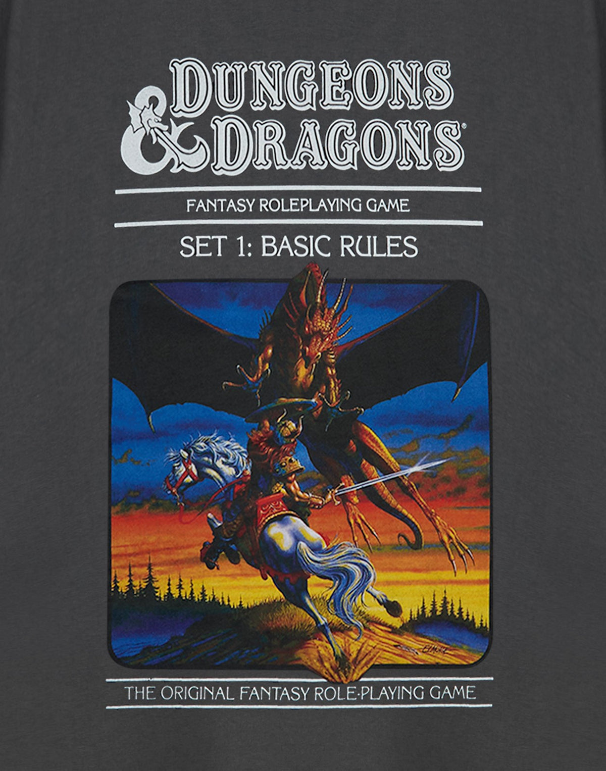 Dungeons & Dragons Short Sleeved T-Shirt | Mens Charcoal | Official Merch