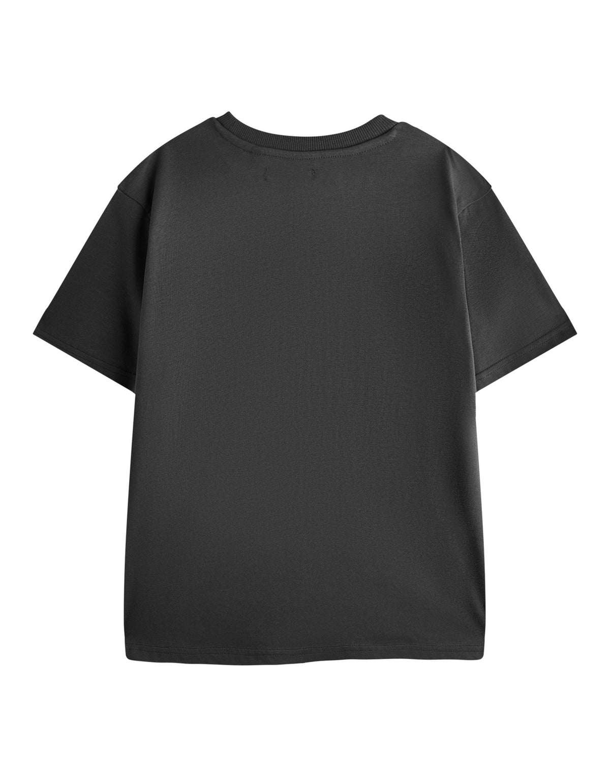How to Train Your Dragon Short Sleeved T-Shirt | Boys Charcoal | Official Merch