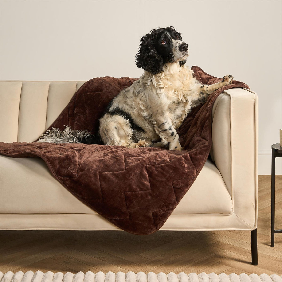 OHS Thermal Pet Blanket Winter Warm Soft Fleece Quilted Throw for Dog Cat