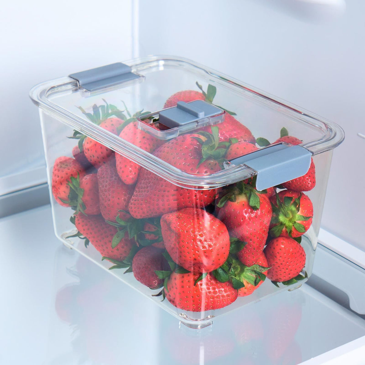 OHS Fridge Container with Lid BPA Free Plastic Food Storage Removable Basket