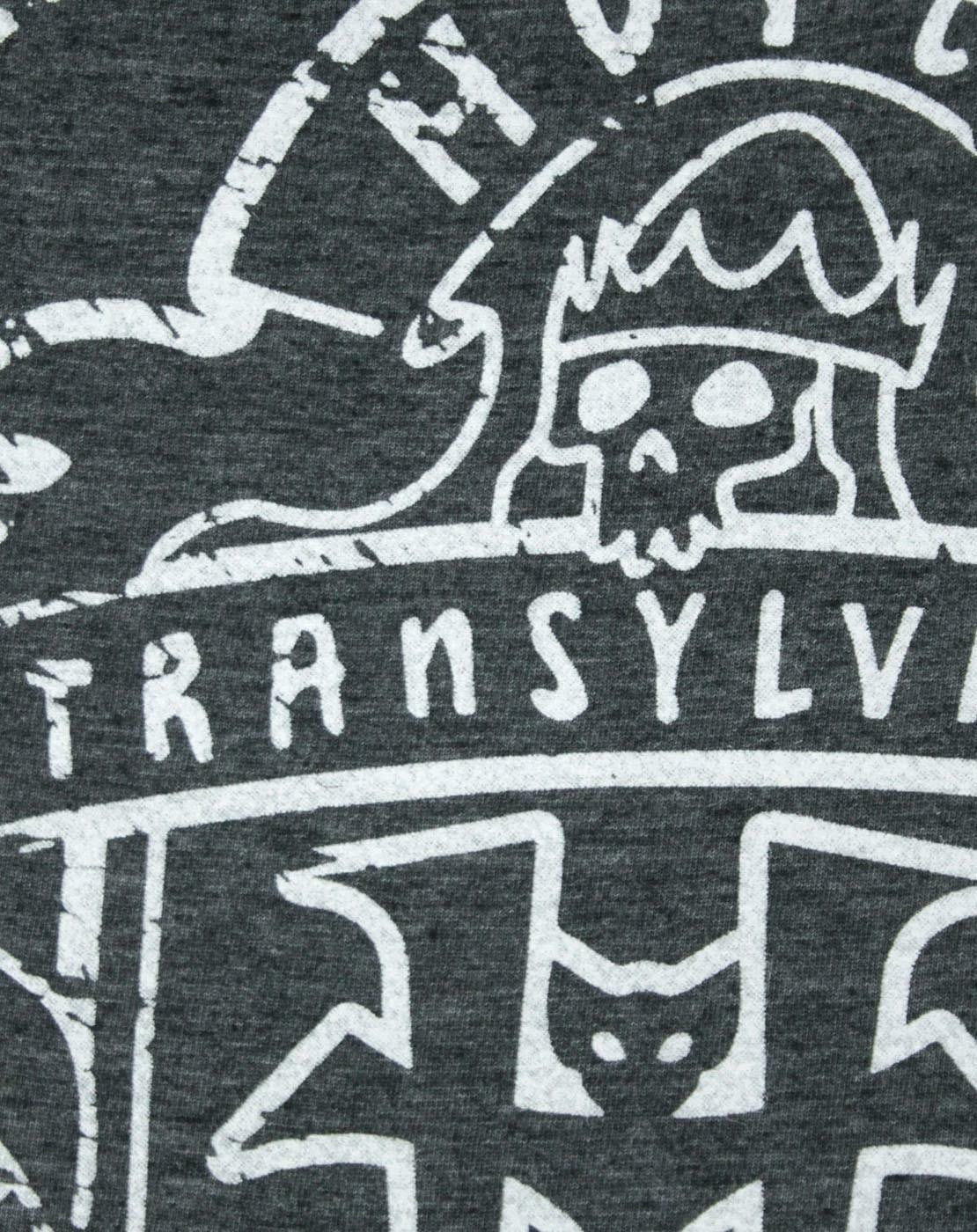 Hotel Transylvania Short Sleeved T-Shirt | Mens Grey | Official Merch