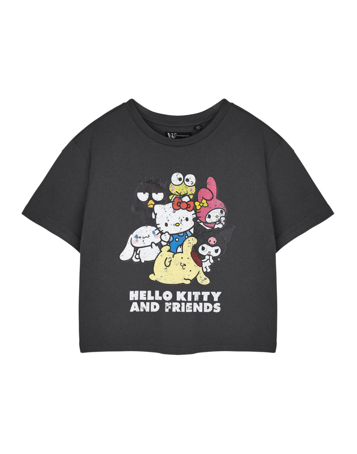 Hello Kitty Cropped Short Sleeved T-Shirt | Womens Charcoal | Official Merch