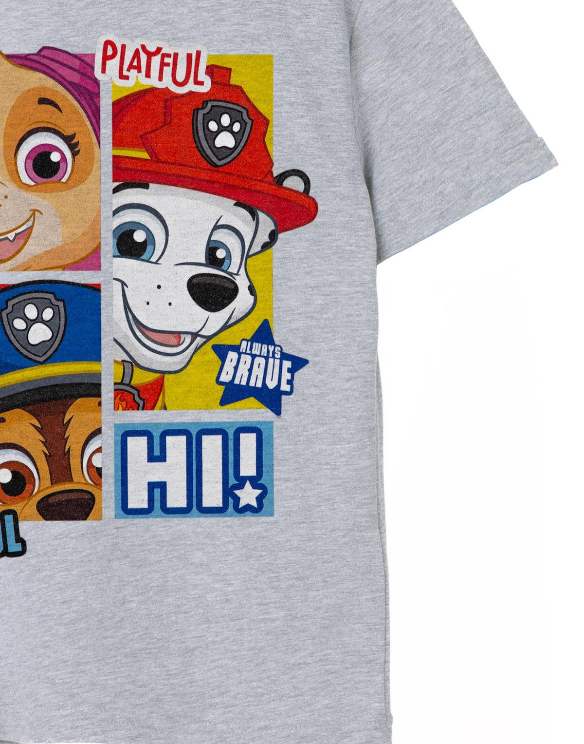 Paw Patrol Short Sleeved T-Shirt | Boys Grey Marl | Official Merch