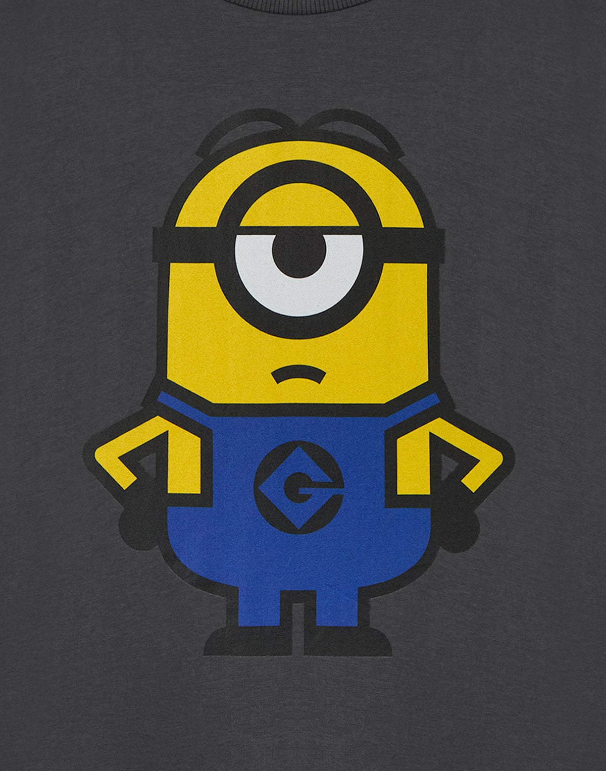 Minions Short Sleeved T-Shirt | Unisex Kids Charcoal | Official Merch